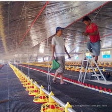 Automatic poultry farming system for chickens,poultry feeding system design for chicken farm